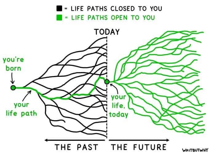 Life Paths