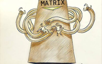 A Holistic Lifestyle