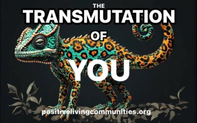 The Transmutation of You